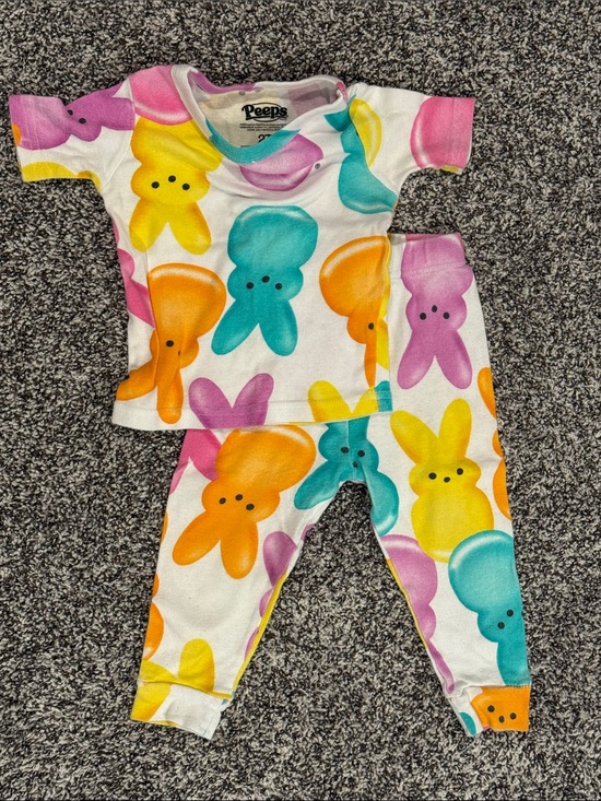 Peeps Other - 2T Peeps Multicolor Bunny Spring Easter Pajama Top & Bottom Set